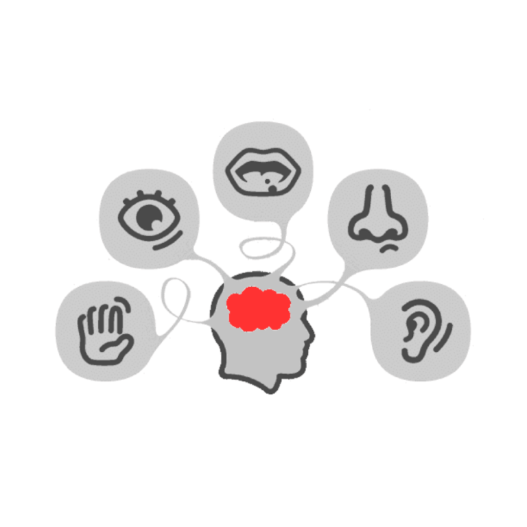 Representational Systems