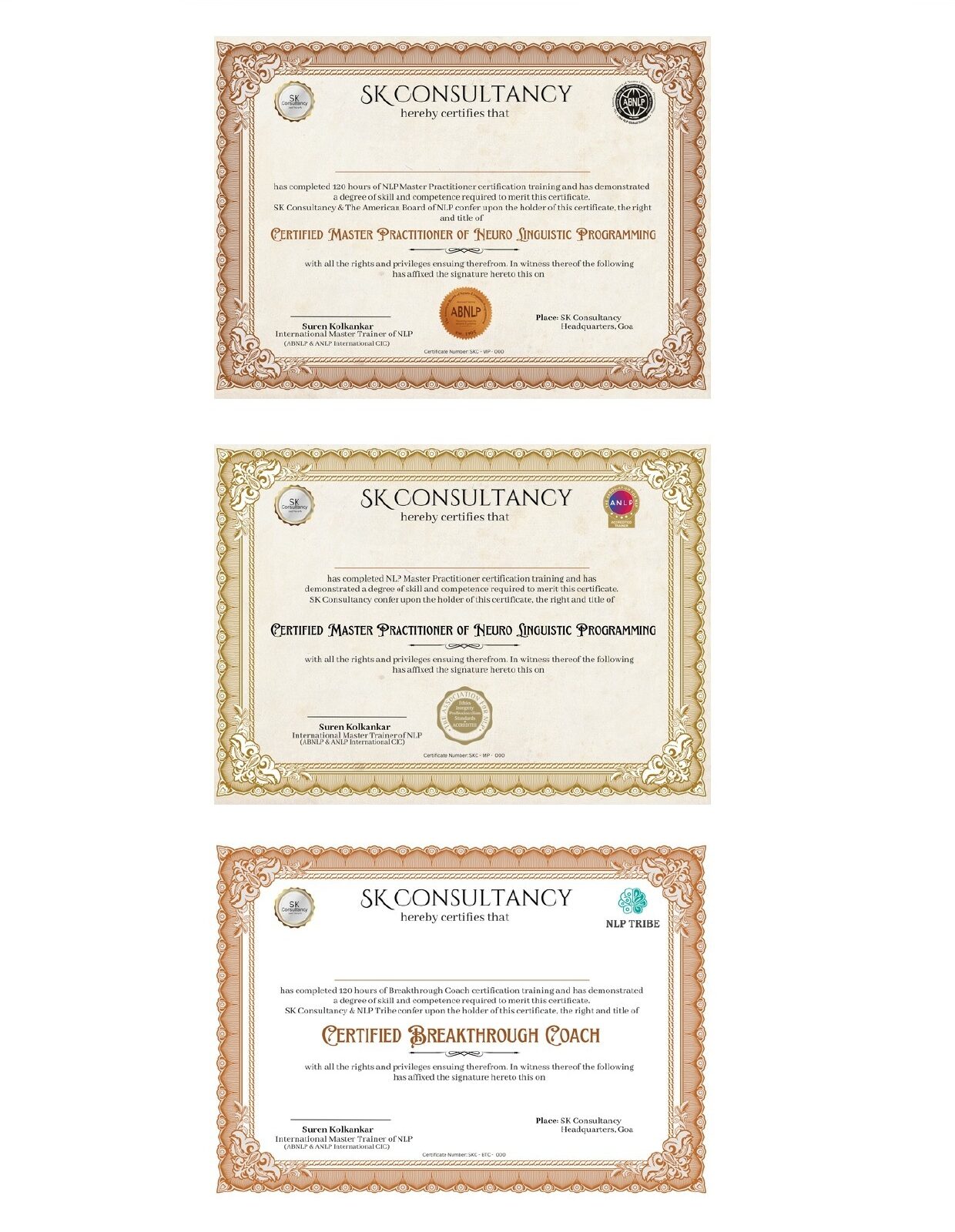 NLP Certificate Sample 1